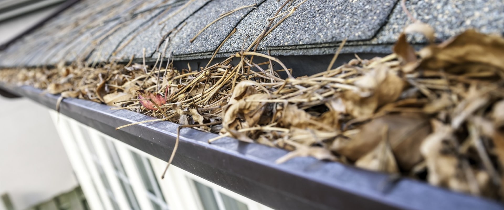 Can leaves cause a roof to leak?