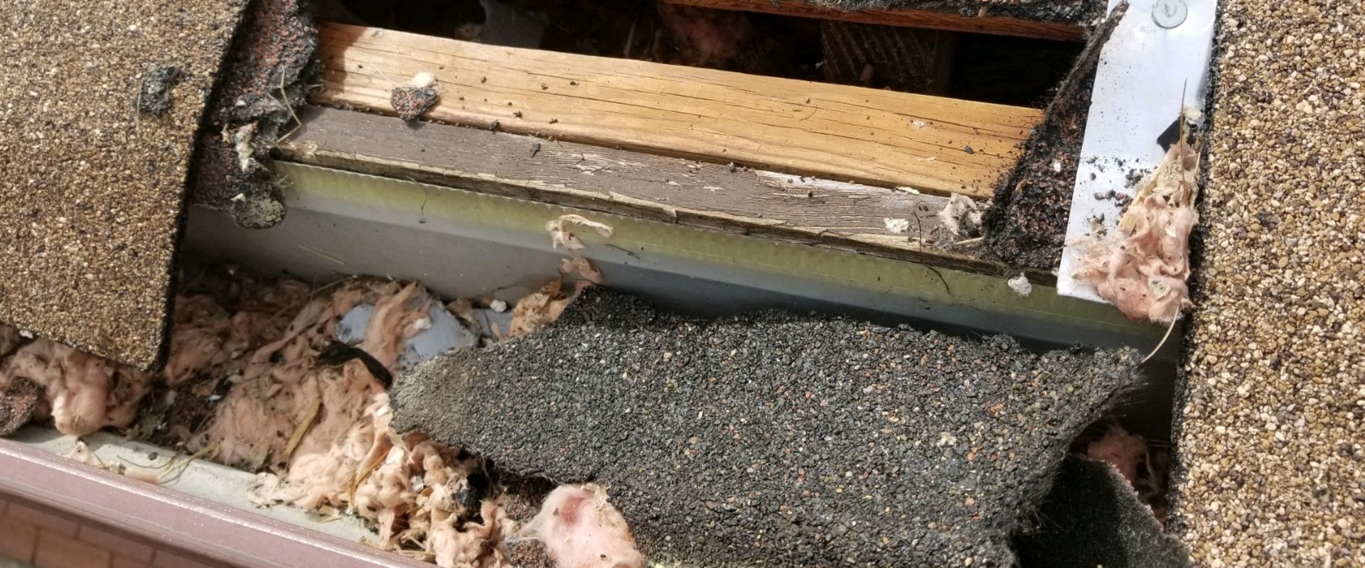 how-do-you-keep-bugs-out-of-gutters