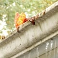 What Problems Can Clogged Gutters Cause?